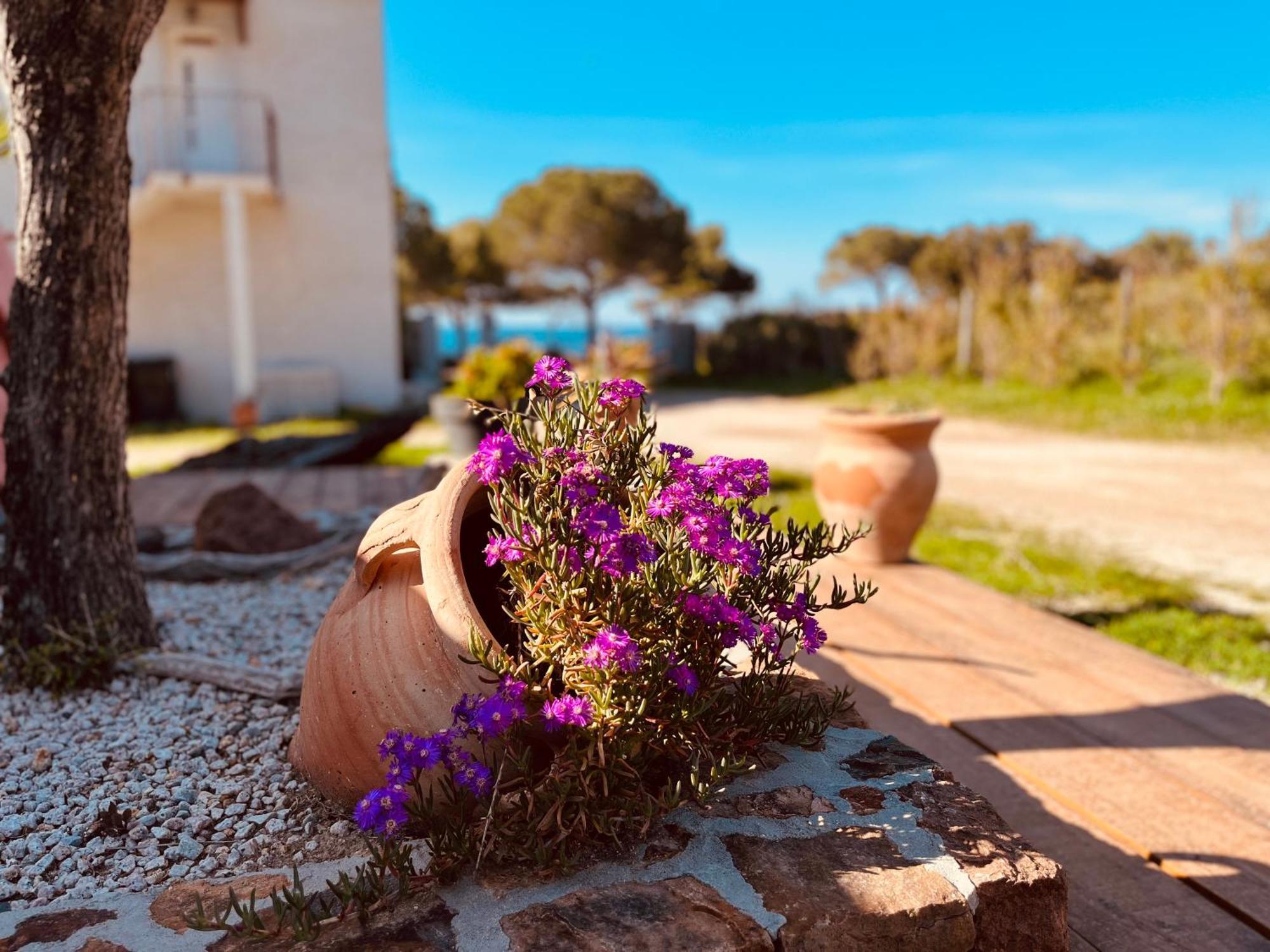 Résidence Casa Toga Appartement