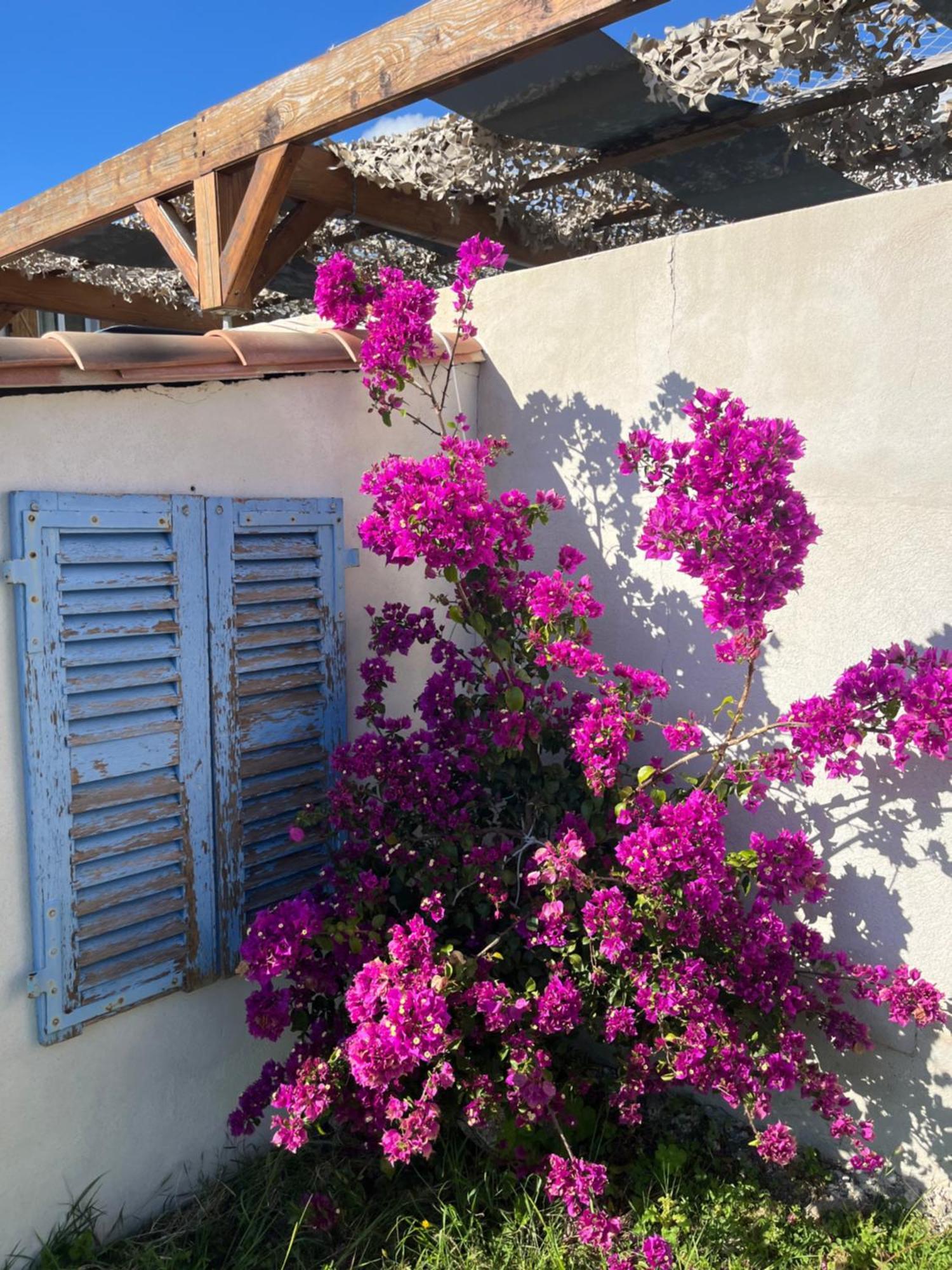 Appartement Casa Toga Galeria (Corsica)